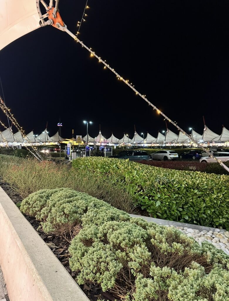 House cleaning (outdoor/exterior area)